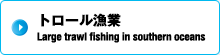 南方トロール漁業 Large trawl fishing in southern oceans