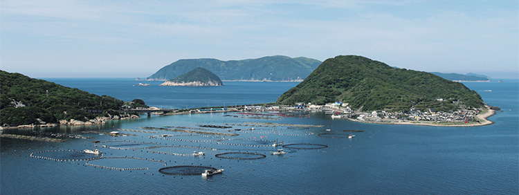 沖縄、本部養殖場