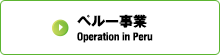 ペルー事業