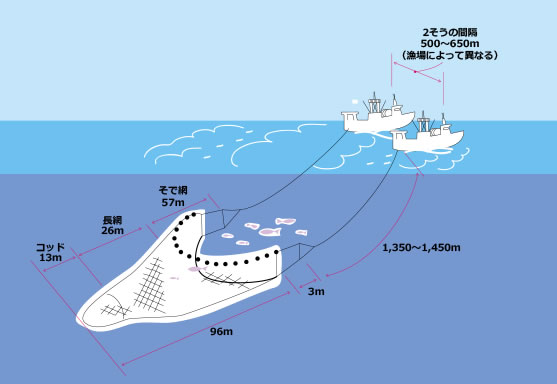 ２艘曳漁業イメージ図